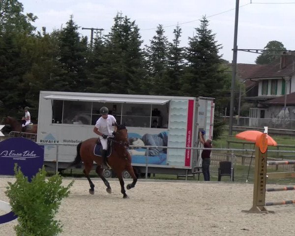 Reitturnier Dompierre 2023