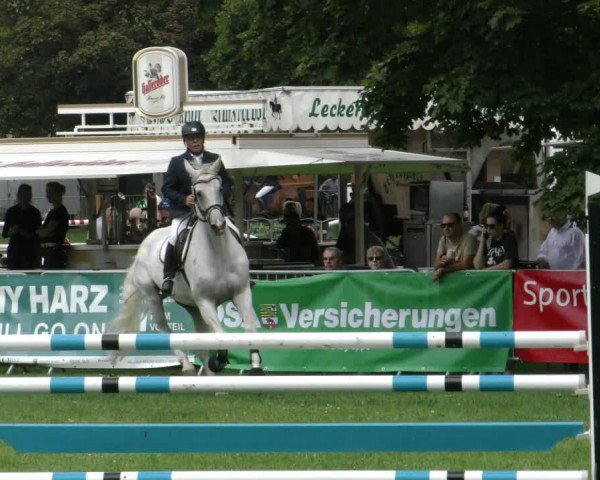 Reitturnier Aschersleben 2023