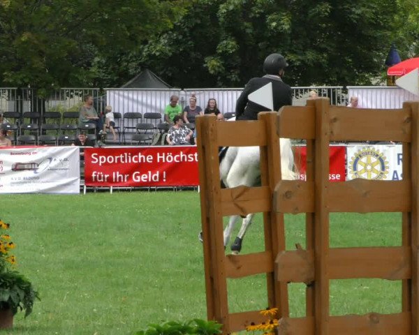 Reitturnier Aschersleben 2023