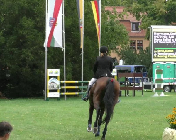 Reitturnier Aschersleben 2023