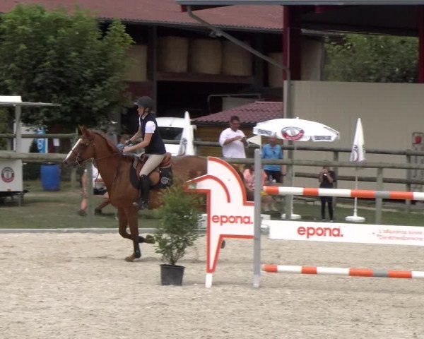 Reitturnier Dompierre 2023