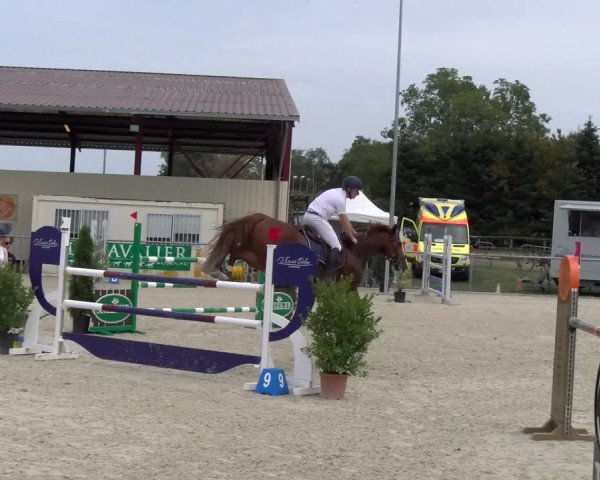 Reitturnier Dompierre 2023