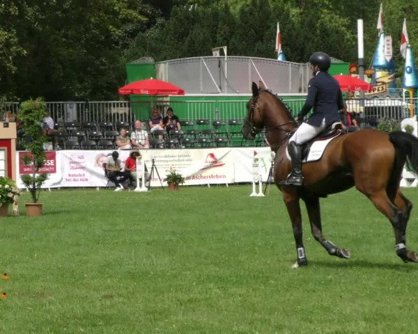 Reitturnier Aschersleben 2023