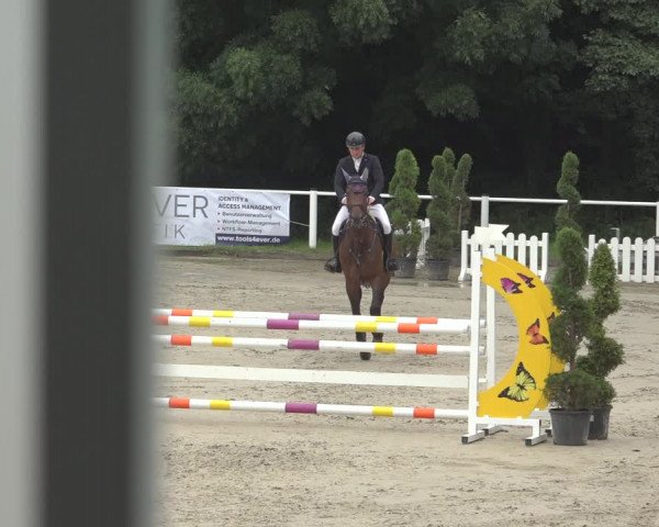 Reitturnier Bergisch Gladbach - Hebborner Hof 2023