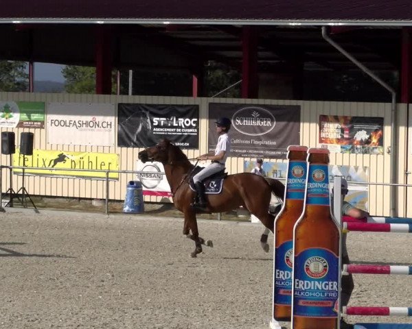Reitturnier Dompierre 2023