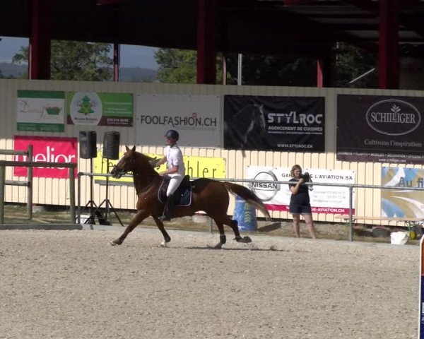 Reitturnier Dompierre 2023