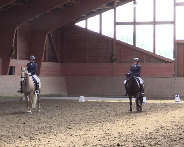 Reitturnier Dortmund-Barop 2021