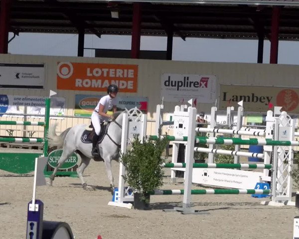 Reitturnier Dompierre 2023