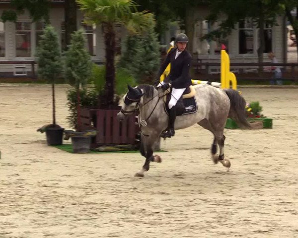 Reitturnier Schnarup-Thumby 2023