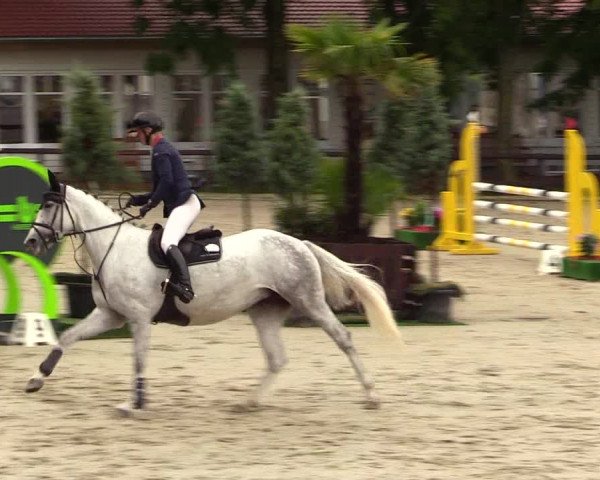 Reitturnier Schnarup-Thumby 2023