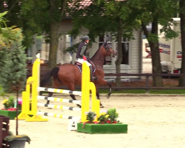 Reitturnier Schnarup-Thumby 2023