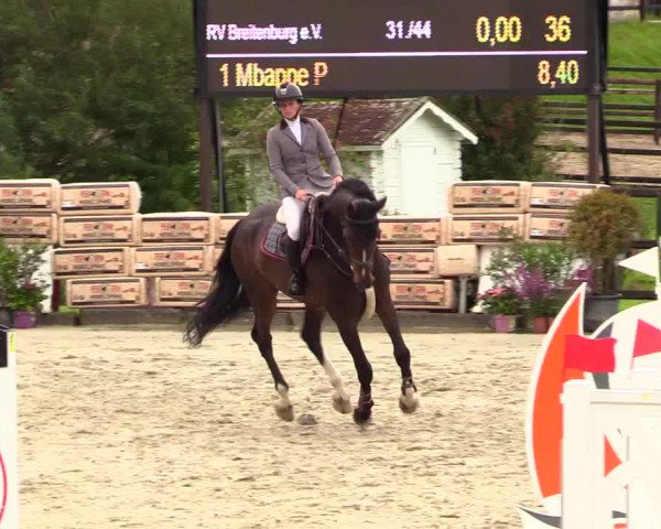 Reitturnier Schnarup-Thumby 2023