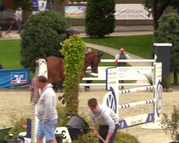 Reitturnier Schnarup-Thumby 2023