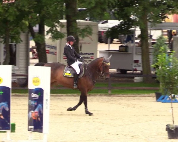 Reitturnier Schnarup-Thumby 2023