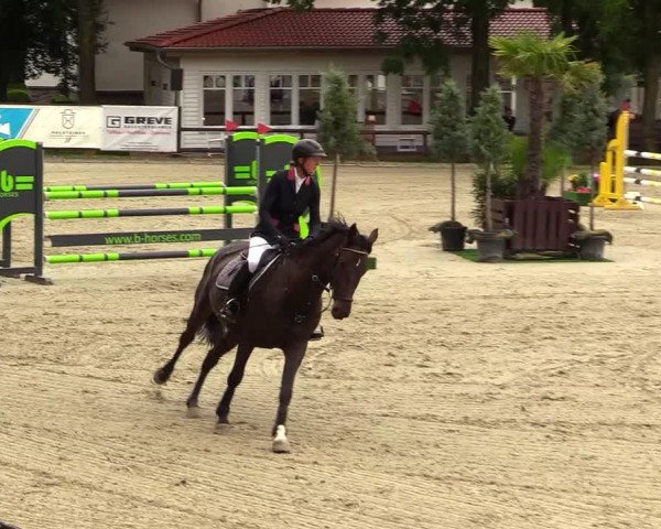 Reitturnier Schnarup-Thumby 2023