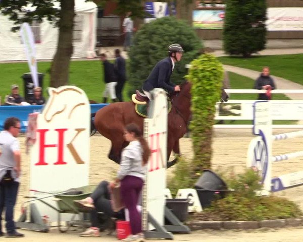 Reitturnier Schnarup-Thumby 2023