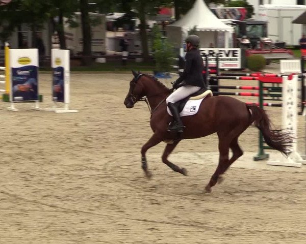 Reitturnier Schnarup-Thumby 2023