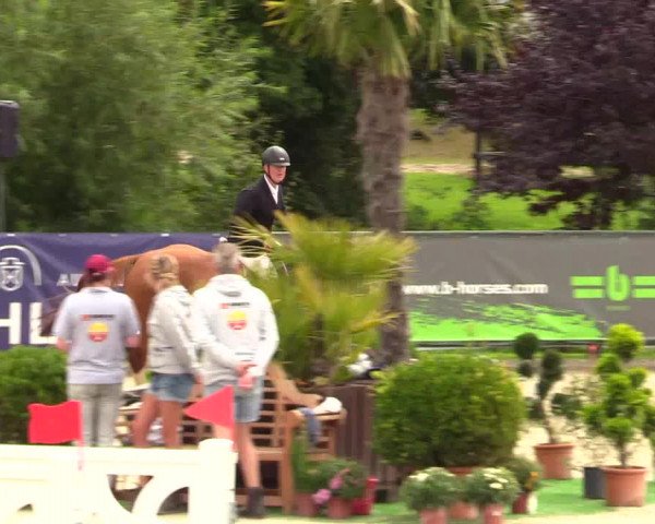 Reitturnier Schnarup-Thumby 2023