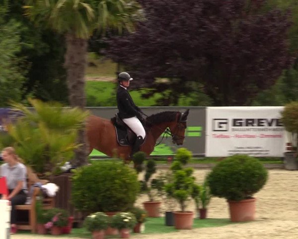 Reitturnier Schnarup-Thumby 2023