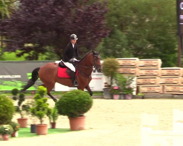 Reitturnier Schnarup-Thumby 2023