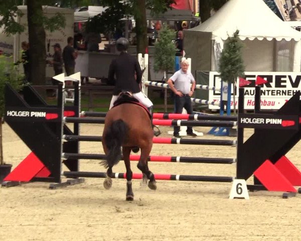 Reitturnier Schnarup-Thumby 2023