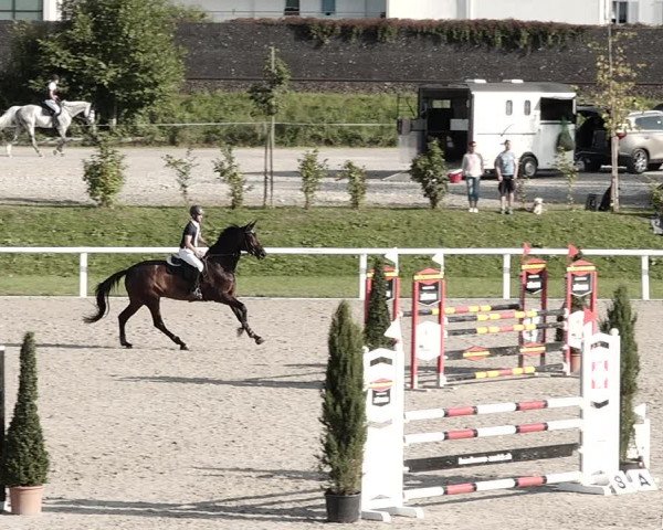 Pferdesporttage Bülach 2021