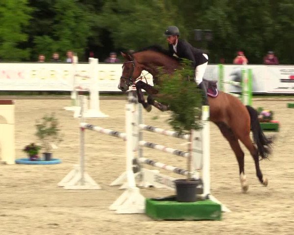 Reitturnier Schnarup-Thumby 2023