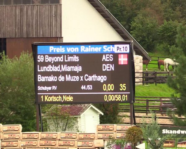 Reitturnier Schnarup-Thumby 2023