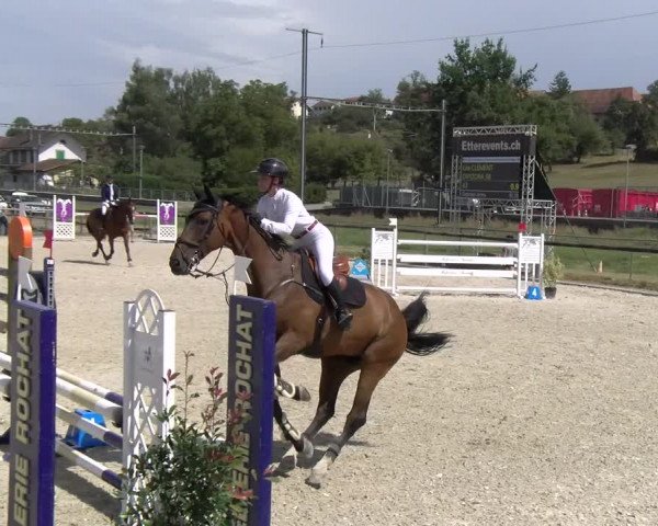 Reitturnier Dompierre 2023