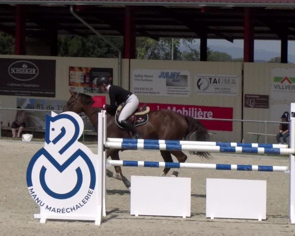 Reitturnier Dompierre 2023