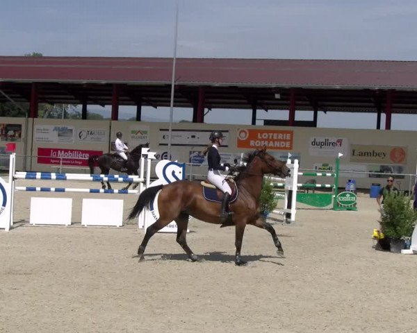 Reitturnier Dompierre 2023