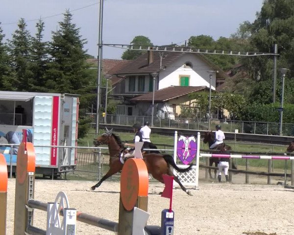 Reitturnier Dompierre 2023