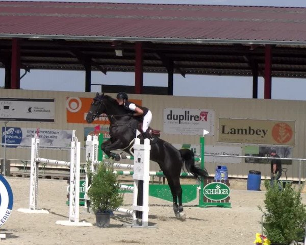 Reitturnier Dompierre 2023