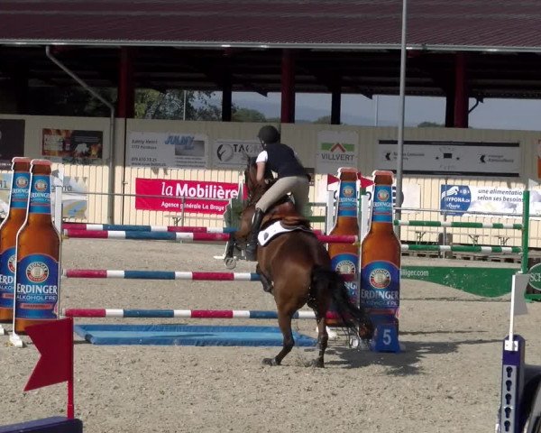 Reitturnier Dompierre 2023