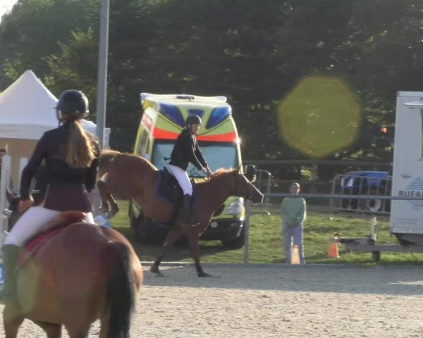 Reitturnier Dompierre 2023