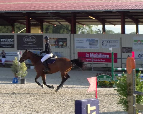 Reitturnier Dompierre 2023