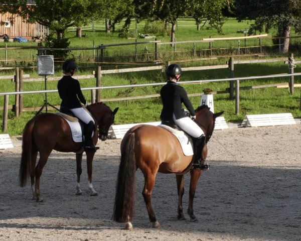 Reitturnier Köngen 2023