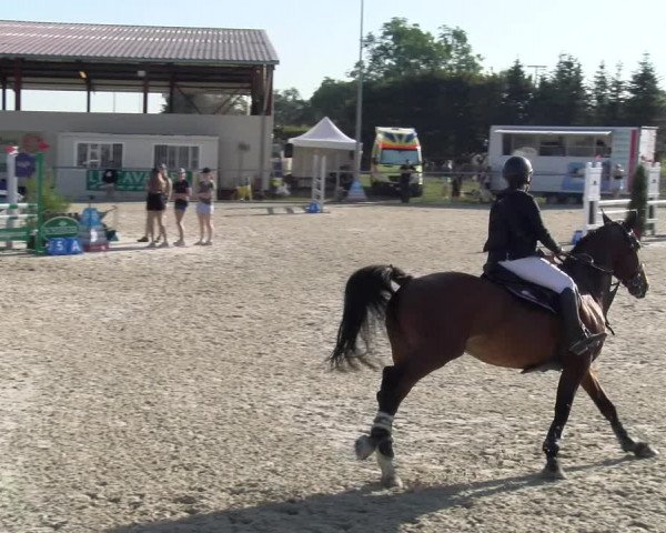 Reitturnier Dompierre 2023