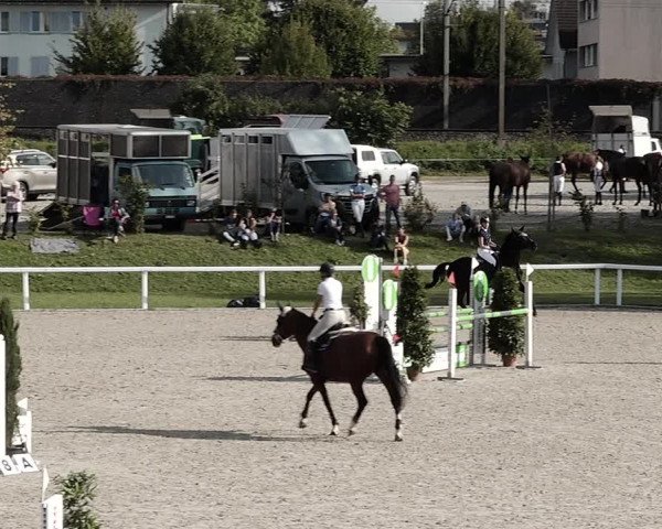 Pferdesporttage Bülach 2021