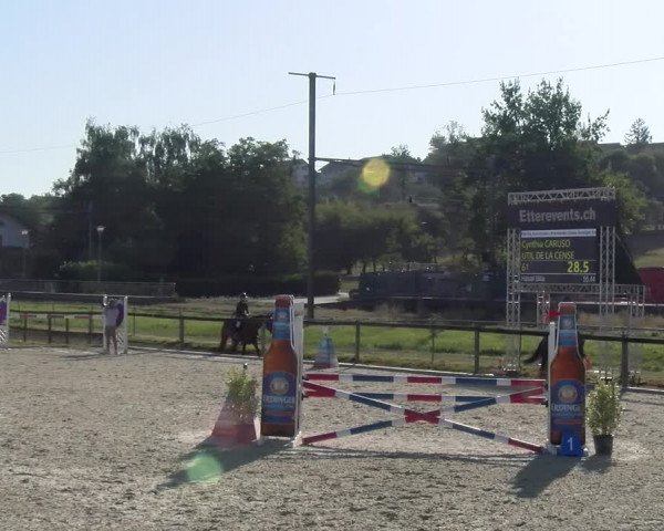 Reitturnier Dompierre 2023