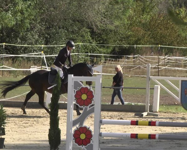 Reitturnier Forst 2021