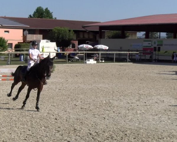 Reitturnier Dompierre 2023