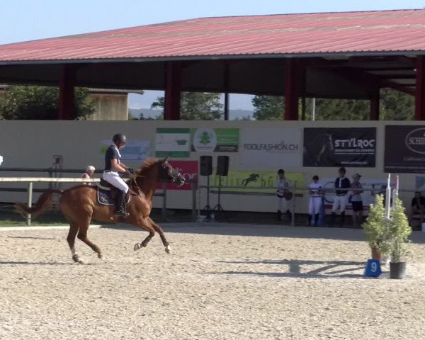 Reitturnier Dompierre 2023