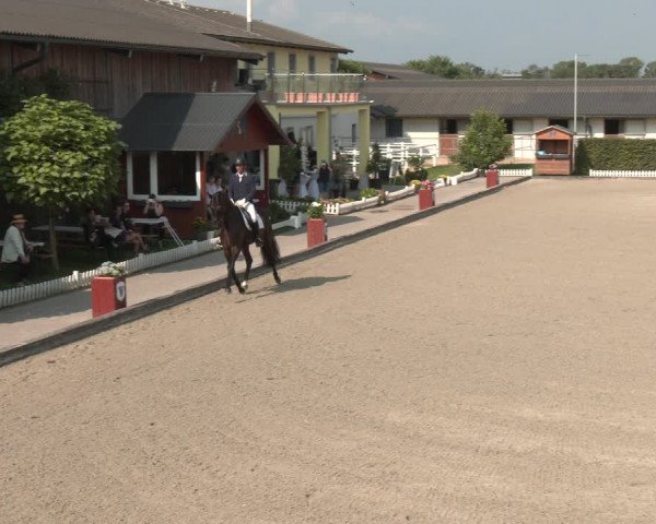 Reitturnier Gerasdorf bei Wien 2023