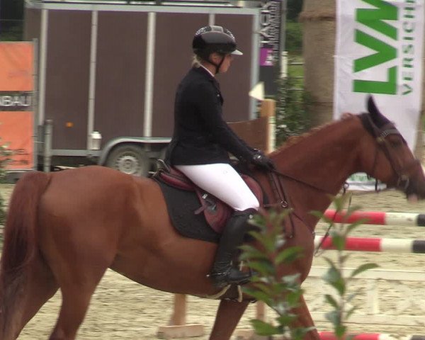 Reitturnier Münster-Albachten 2023
