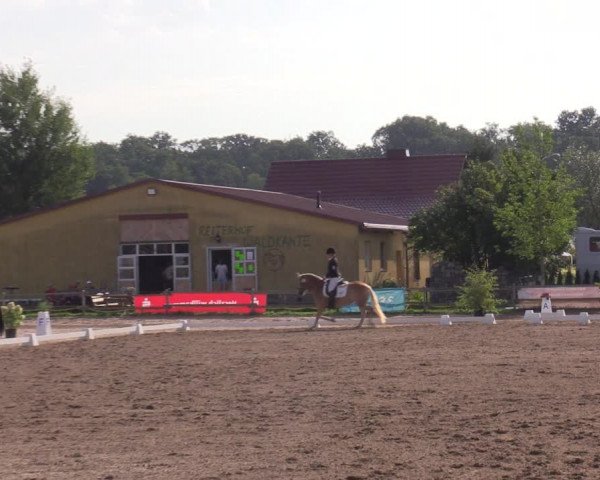 Reitturnier Altlandsberg 2023