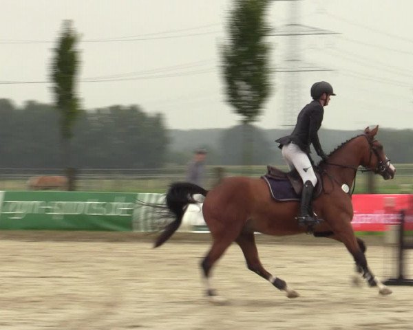Reitturnier Dortmund-Asseln 2023
