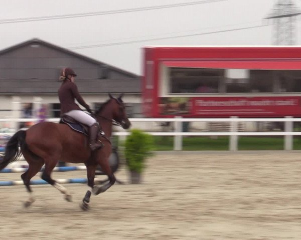 Reitturnier Dortmund-Asseln 2023