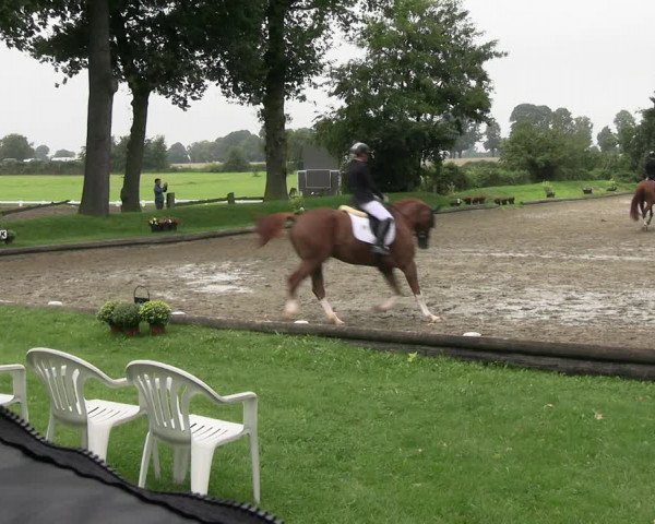 Reitturnier Datteln 2023