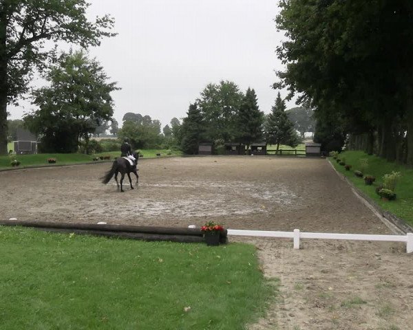 Reitturnier Datteln 2023